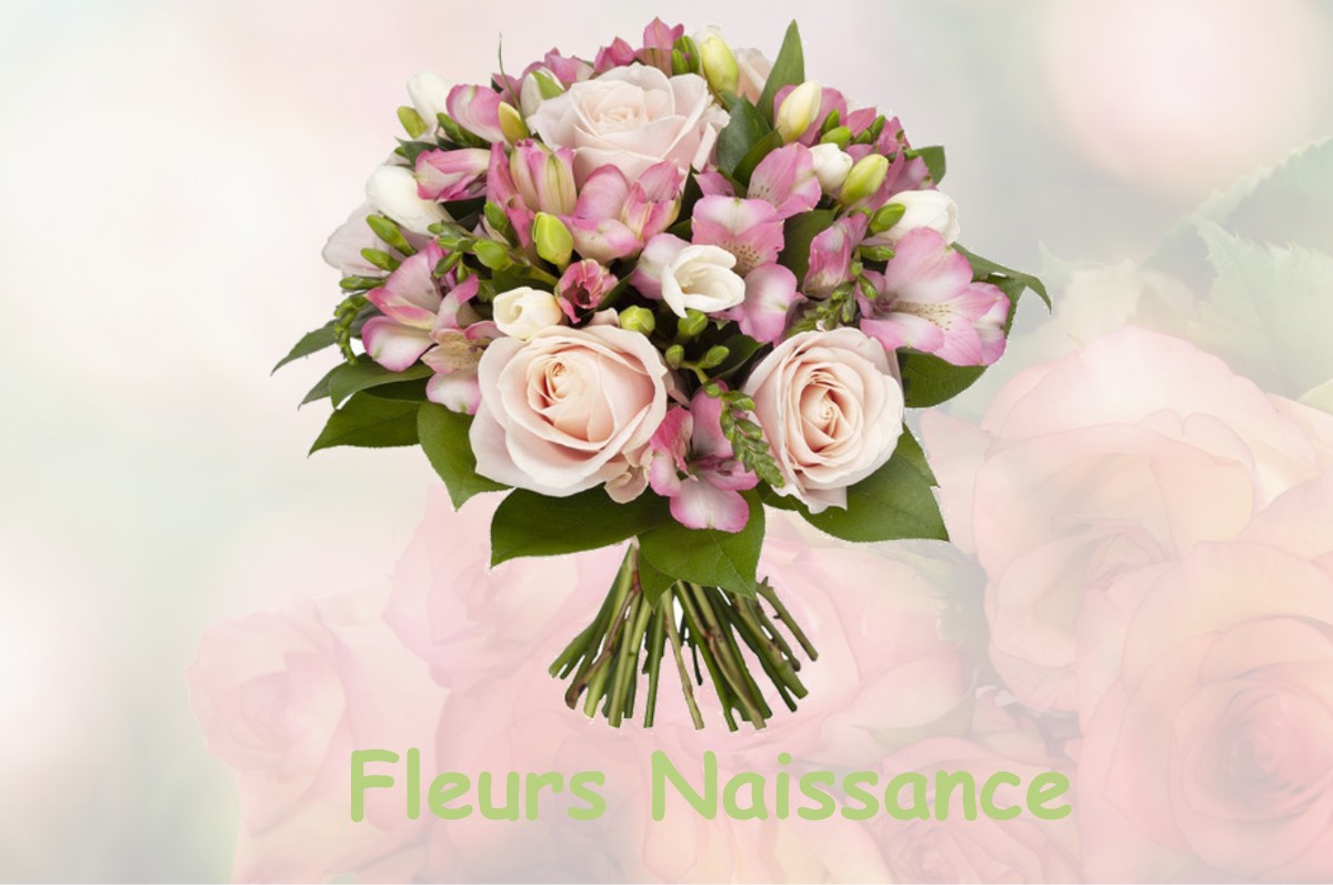 fleurs naissance ECALLES-ALIX