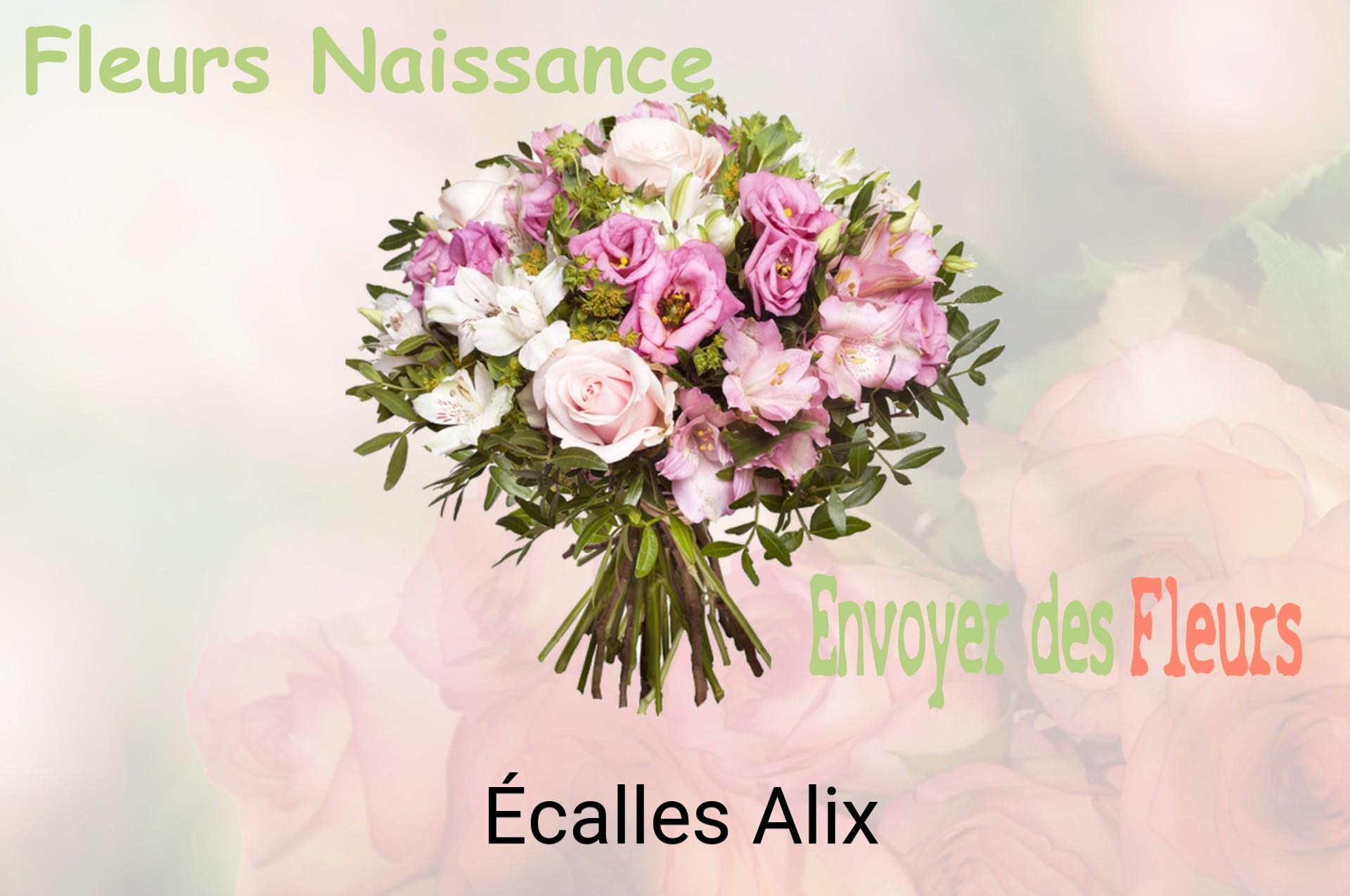 Bouquet de fleurs de naissance livré à Écalles-Alix