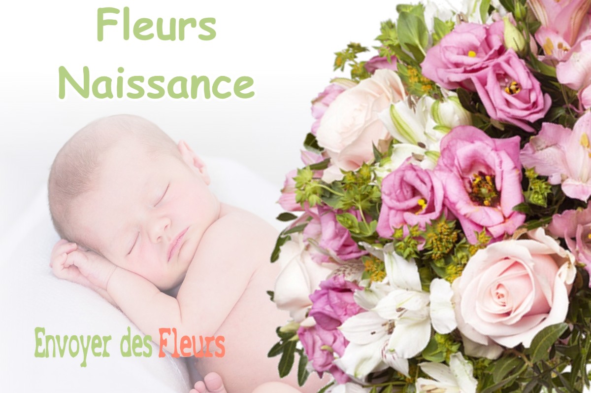 lIVRAISON FLEURS NAISSANCE à ECALLES-ALIX